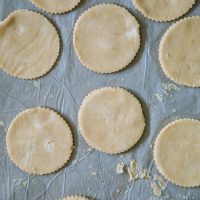 Whole Grain Pie Dough