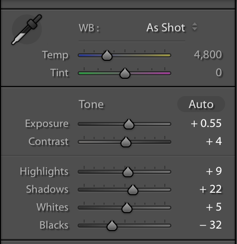 basic panel adjustment sldiers in lightroom classic cc.